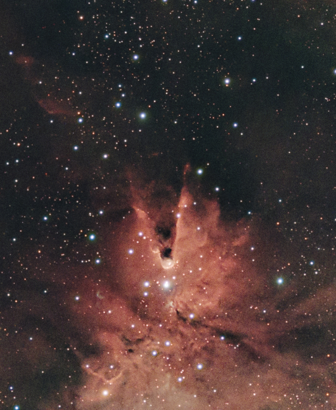 Detail view of the Cone Nebula