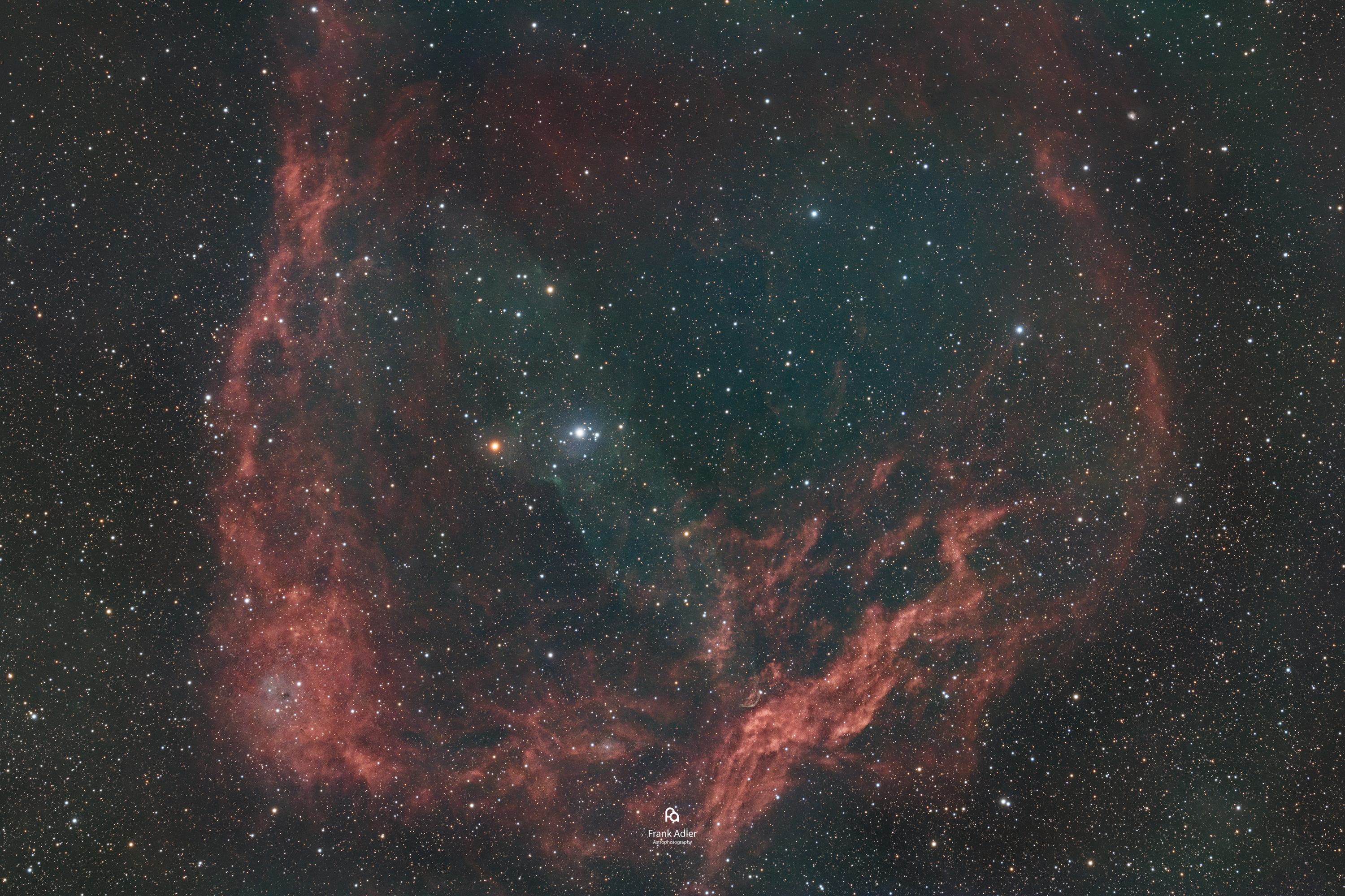 The Flying Bat & Squid Nebulae