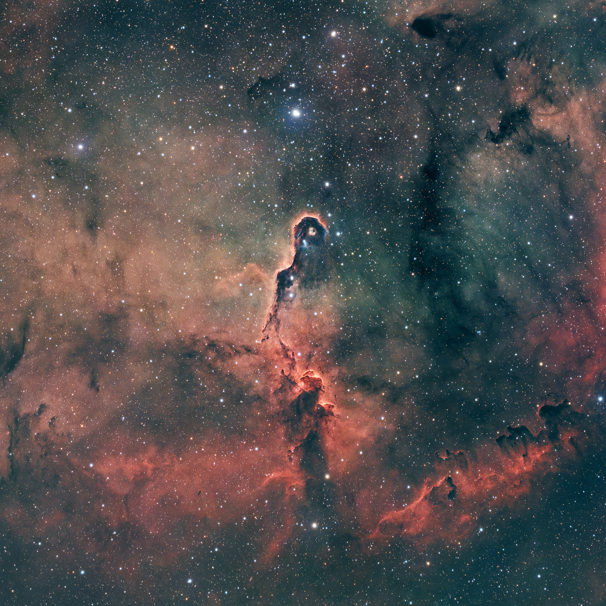 The "trunk" in detail