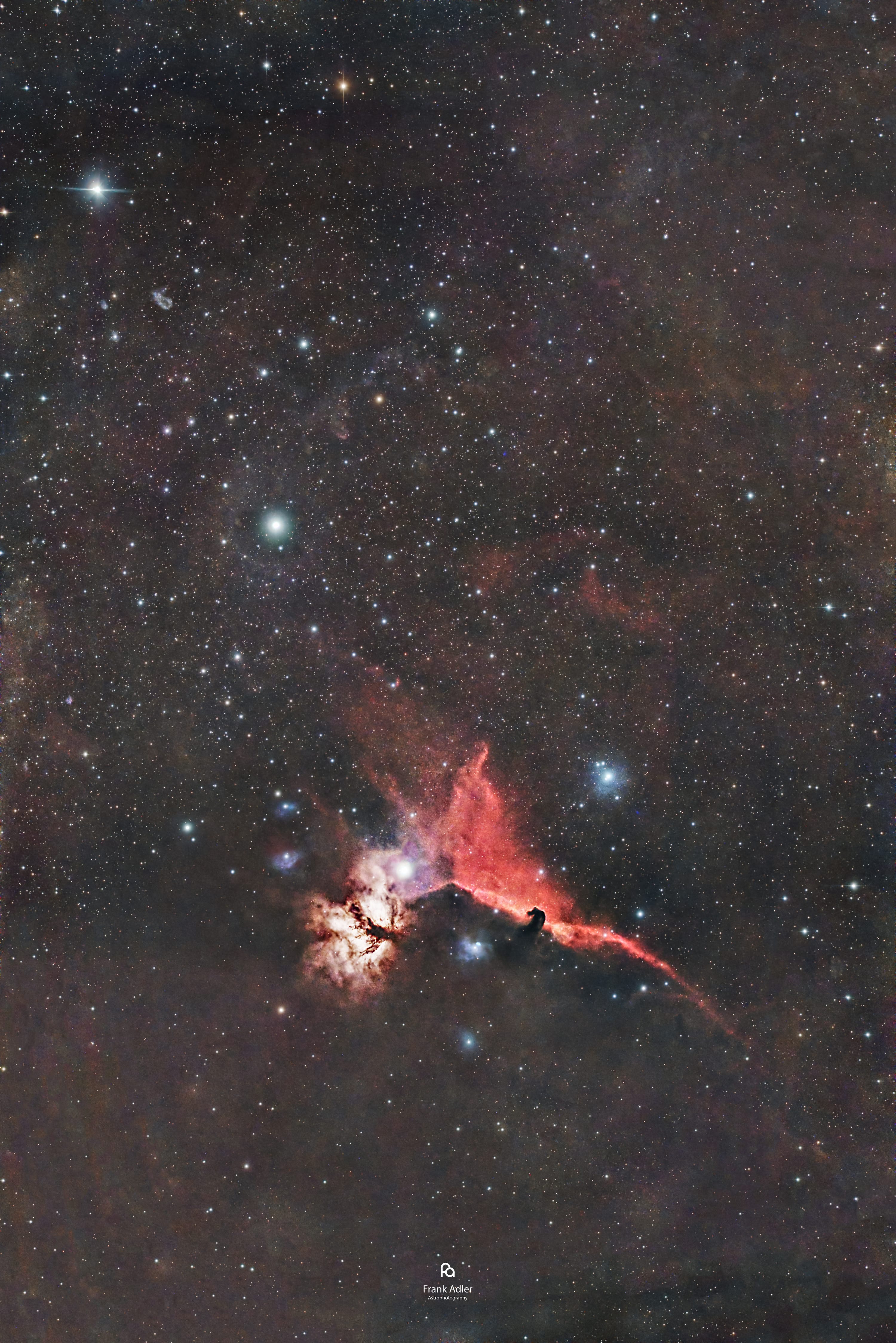 Horse Head and Flame Nebula