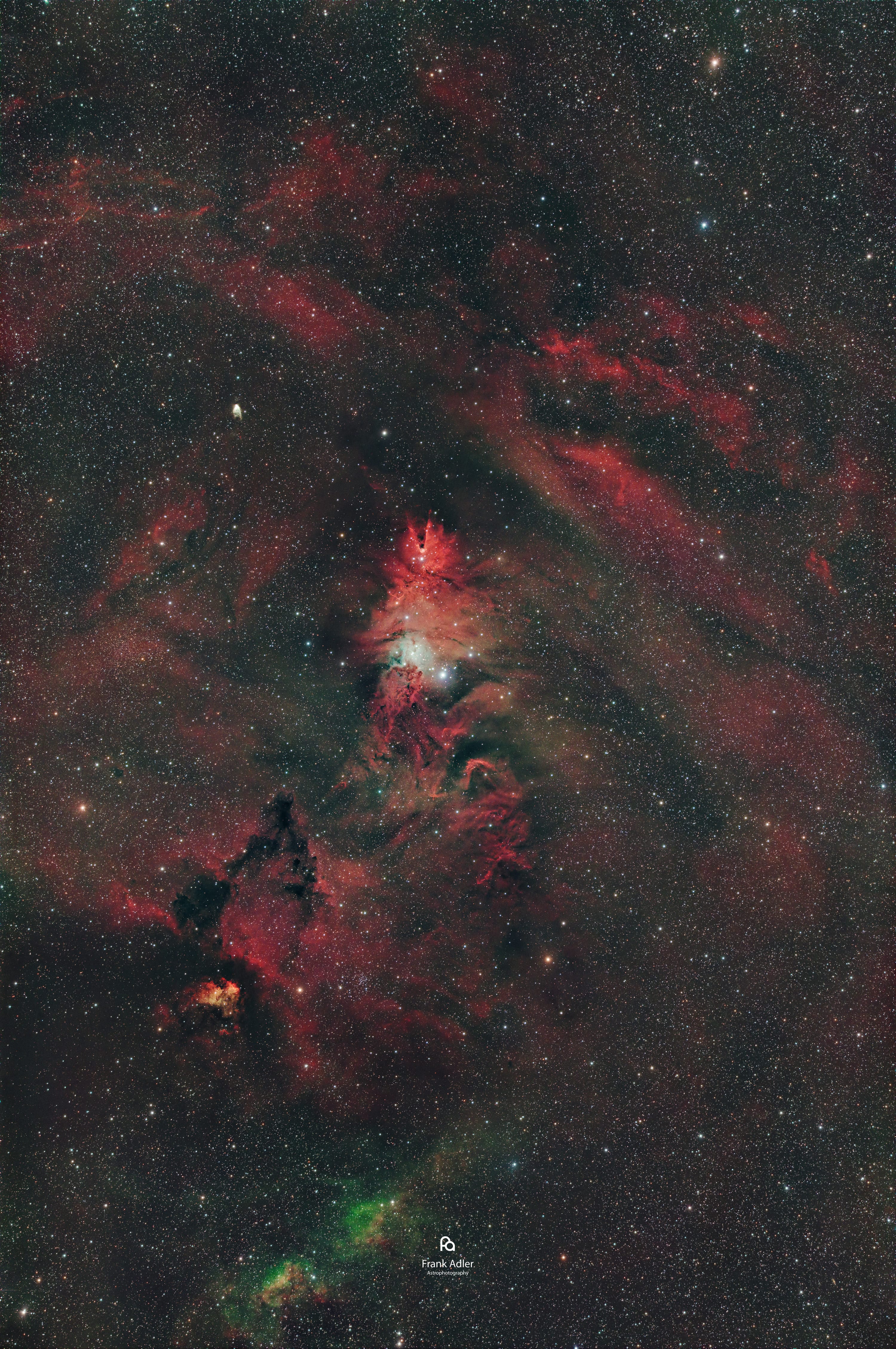 The Christmas Tree Cluster and Cone Nebula