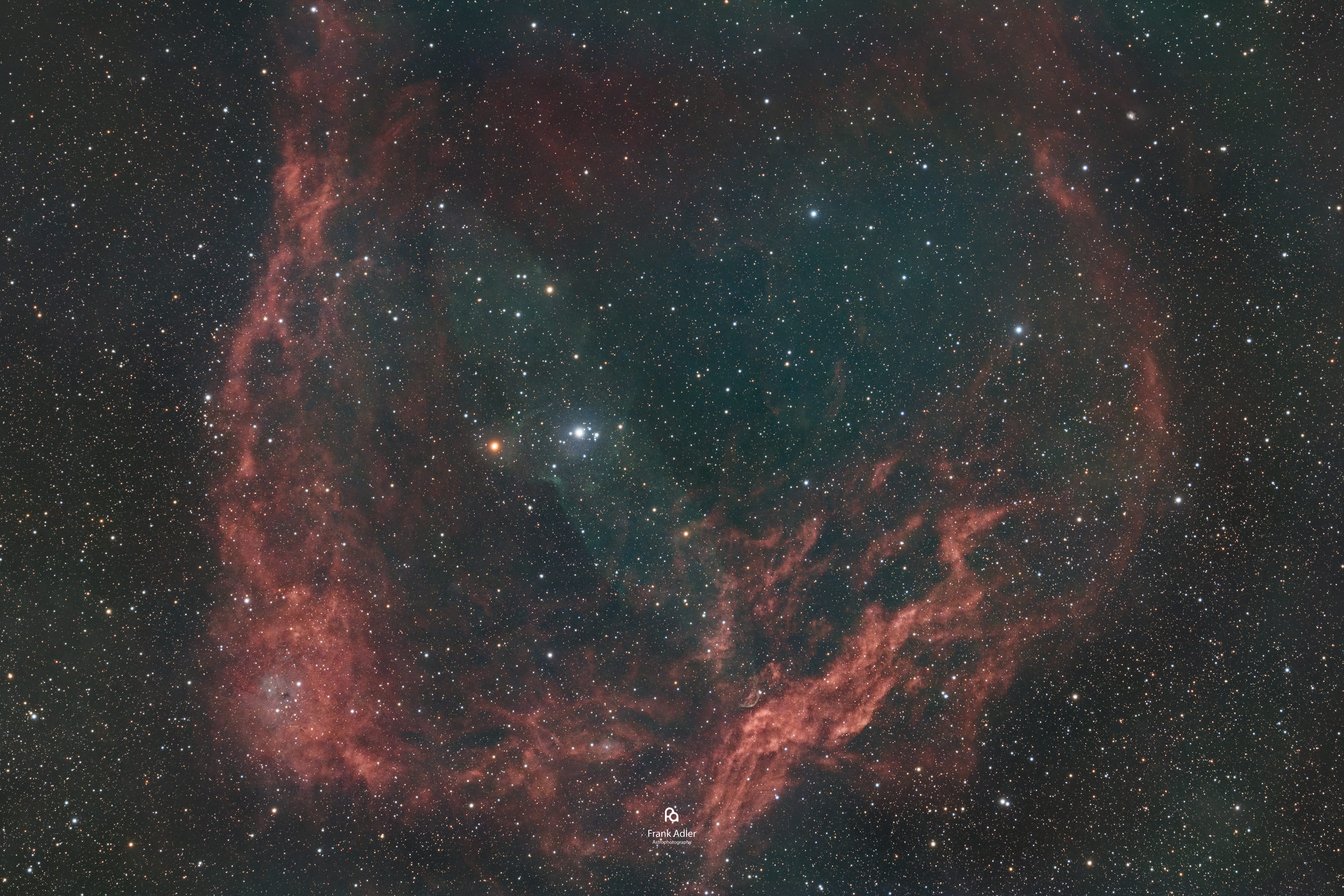 The Flying Bat & Squid Nebulae