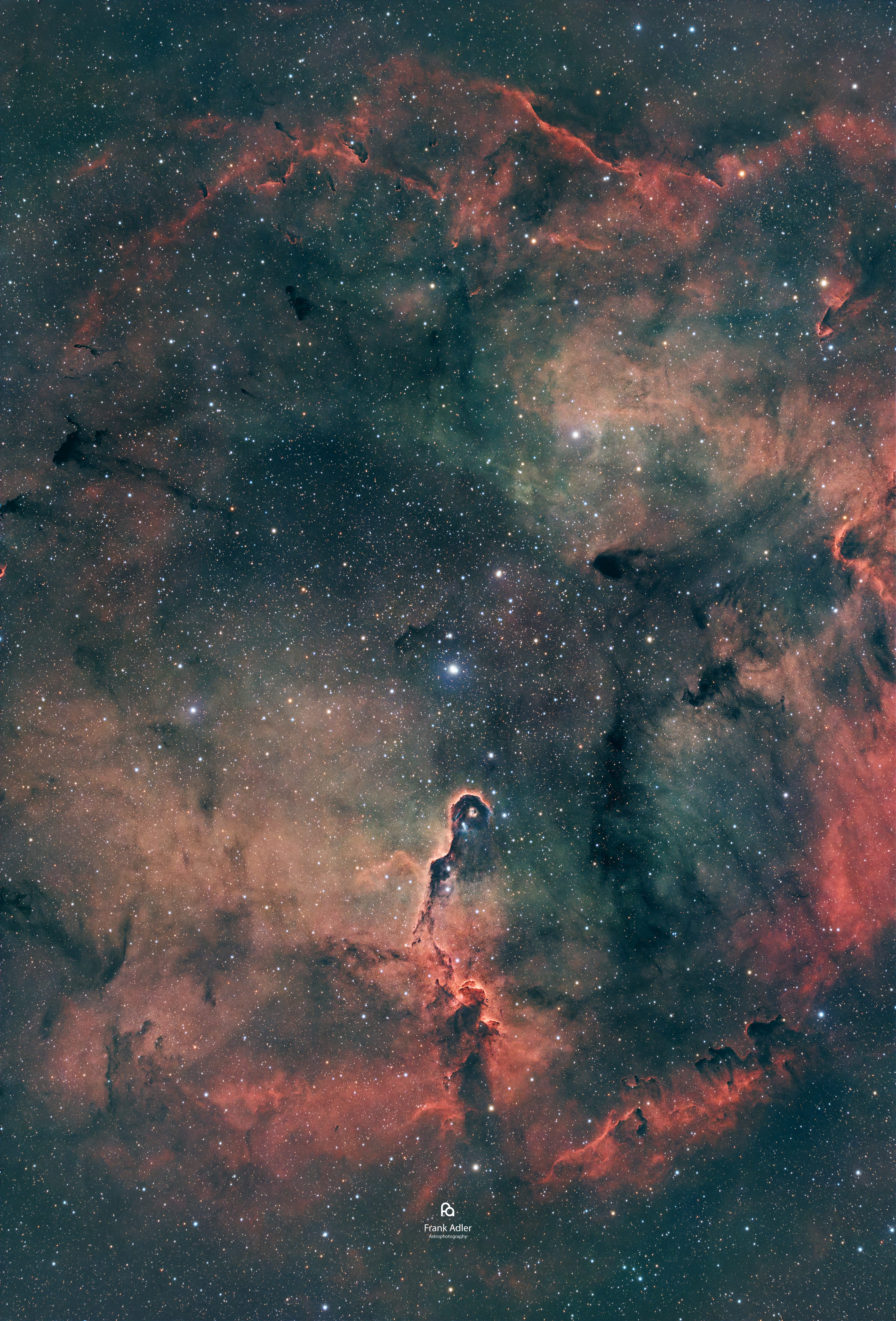 The Elephant's Trunk Nebula